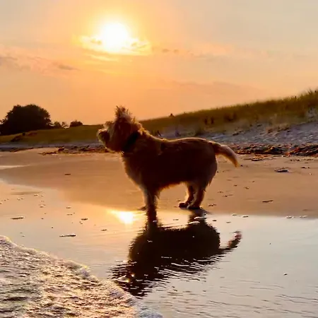 Lobster Im Nauticum Apartman