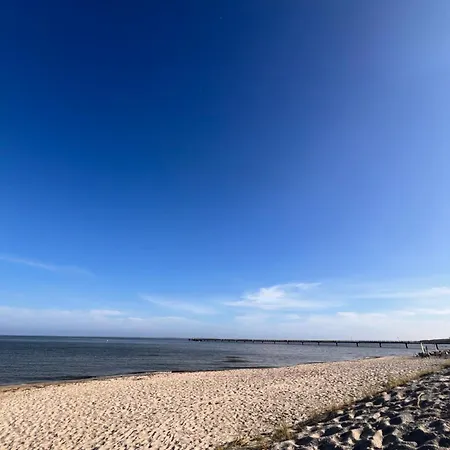 Lobster Im Nauticum * לובמין