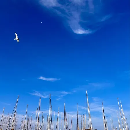 Lobster Im Nauticum Lubmin