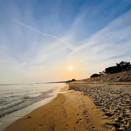 Lobster Im Nauticum *