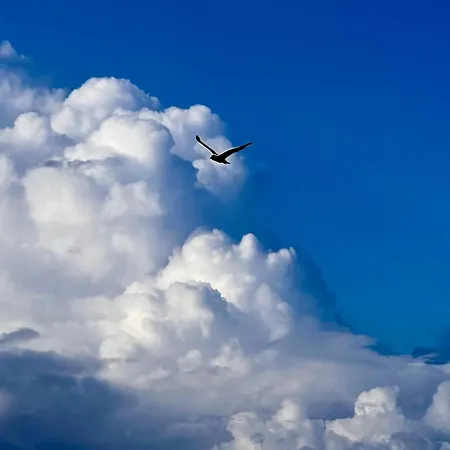 Lobster Im Nauticum *