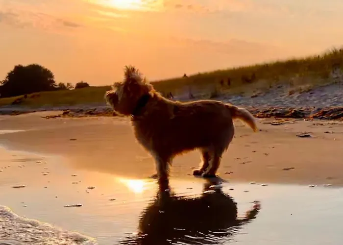 Lobster Im Nauticum 아파트