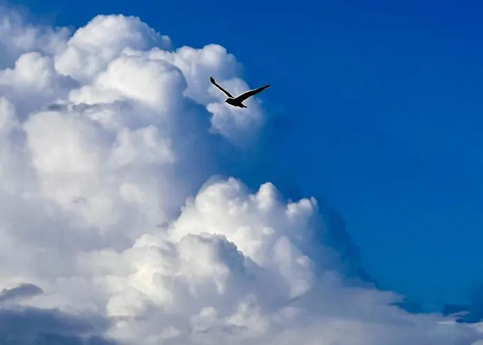 Lobster Im Nauticum *